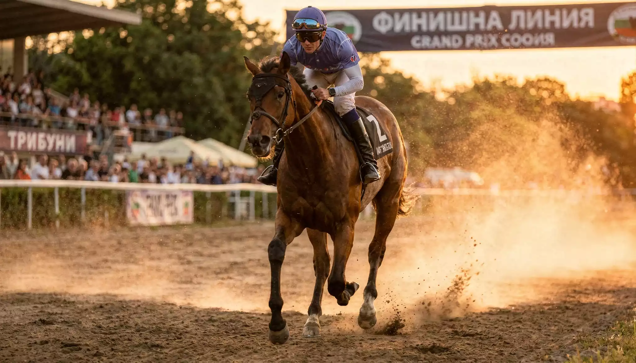 Челен план на един кон, символ на залог на единичен победител